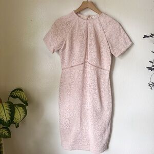 Rachel Parcell | Corded Lace Sheath Dress